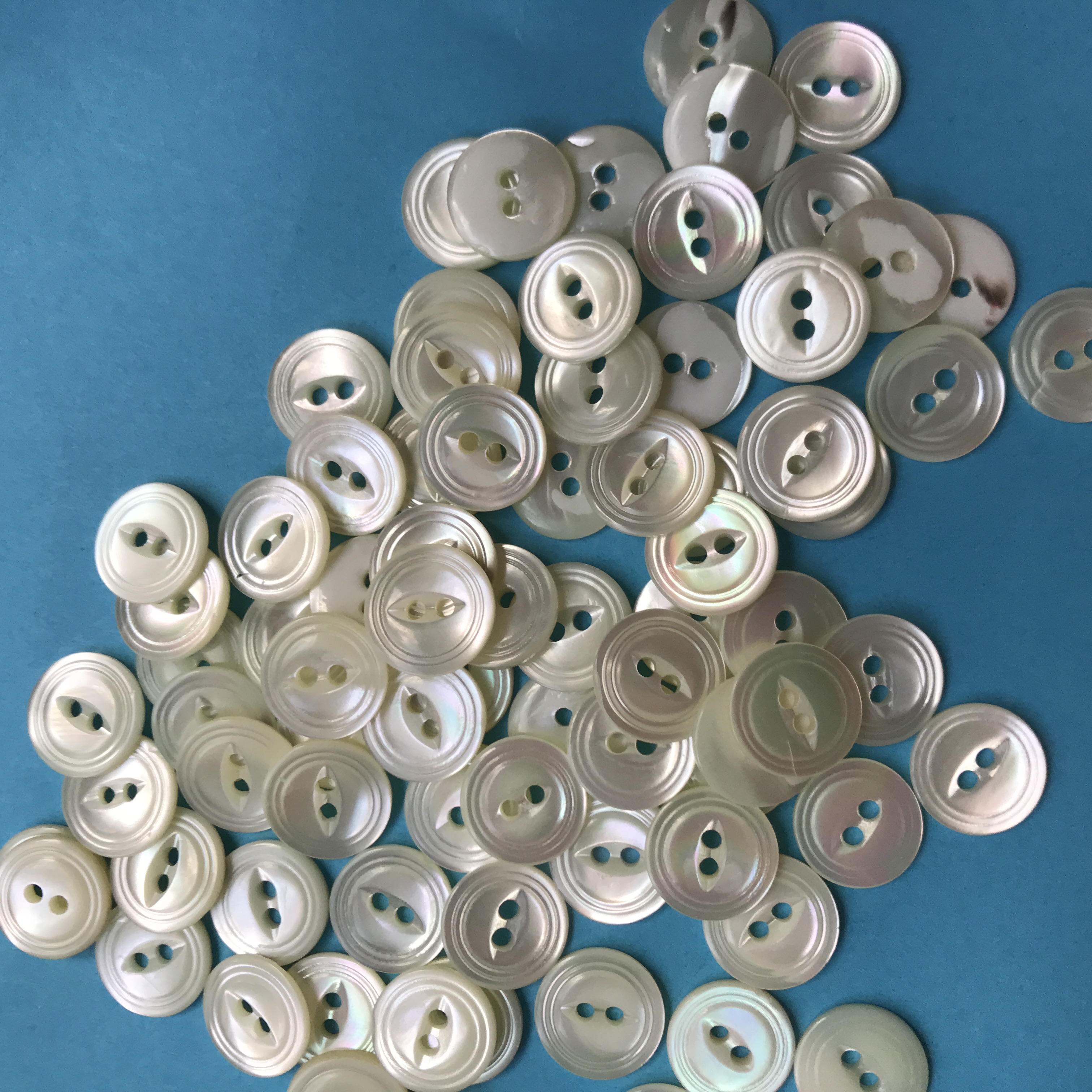 Baby Buttons - One Dozen Fisheye Ringcup L12